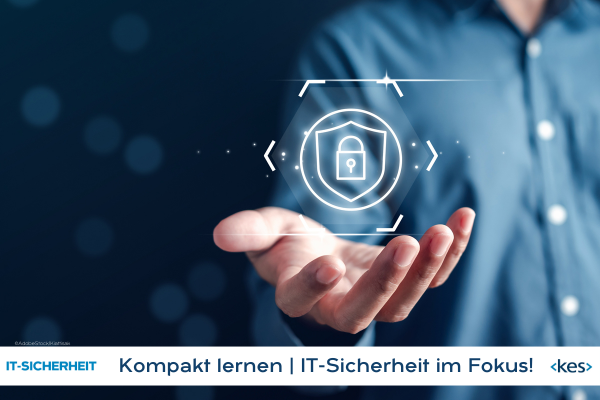 Quickwins für IT-Sicherheit: Mental-Tool-Box für Sofortmaßnahmen zur Risikoreduzierung